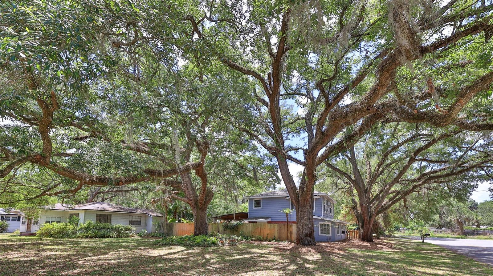 MAGNOLIA HEIGHTS - Residential