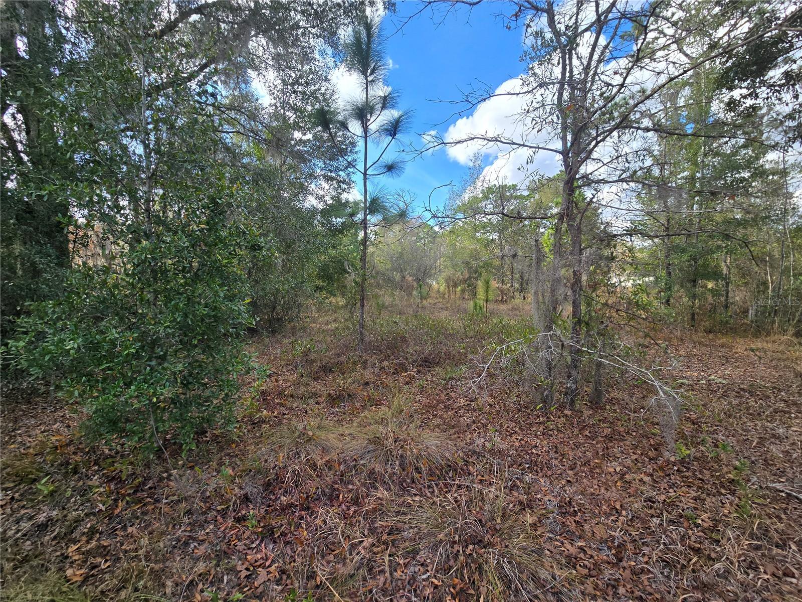 QUIET ACRES UNREC - Land