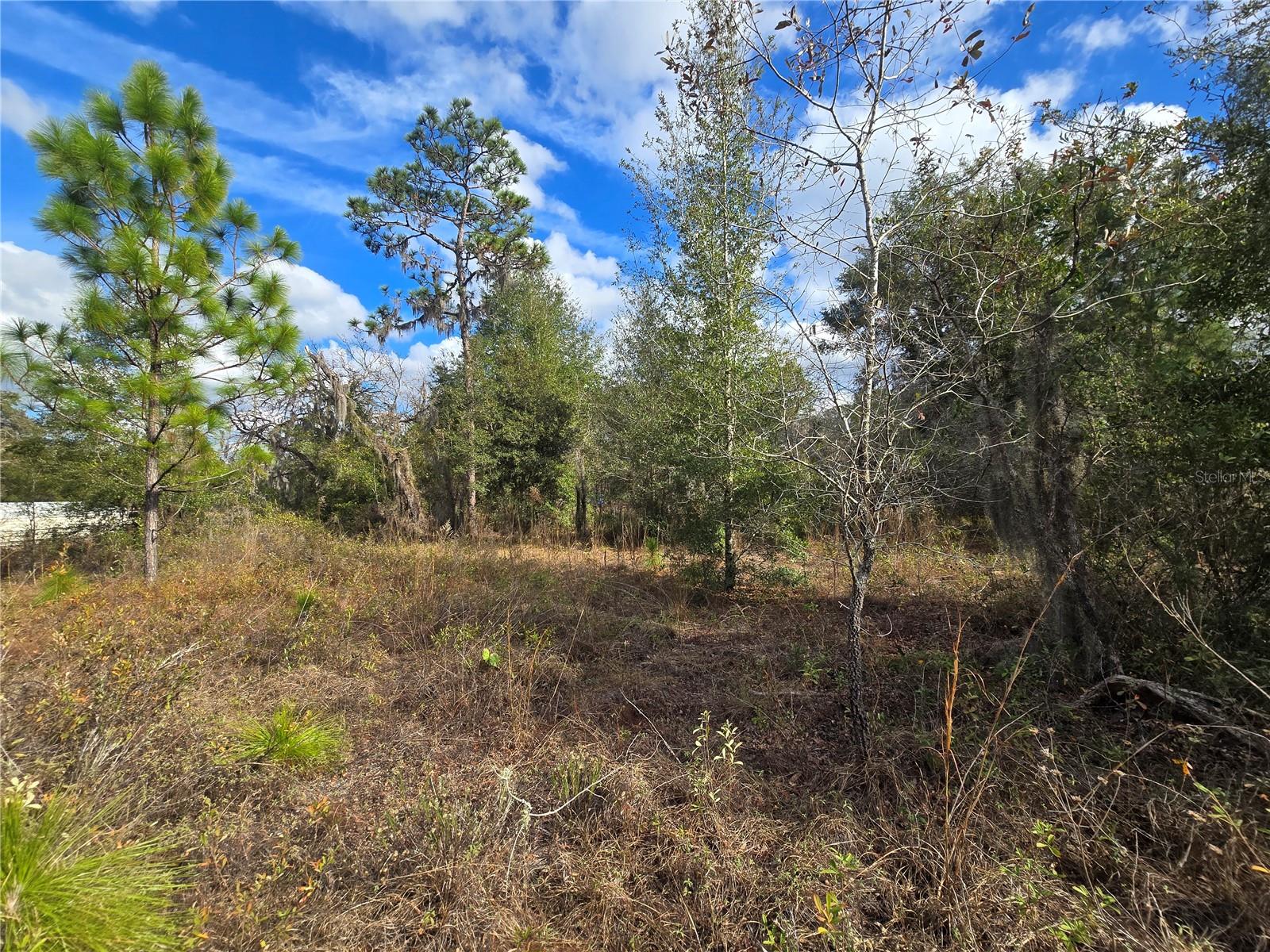 QUIET ACRES UNREC - Land