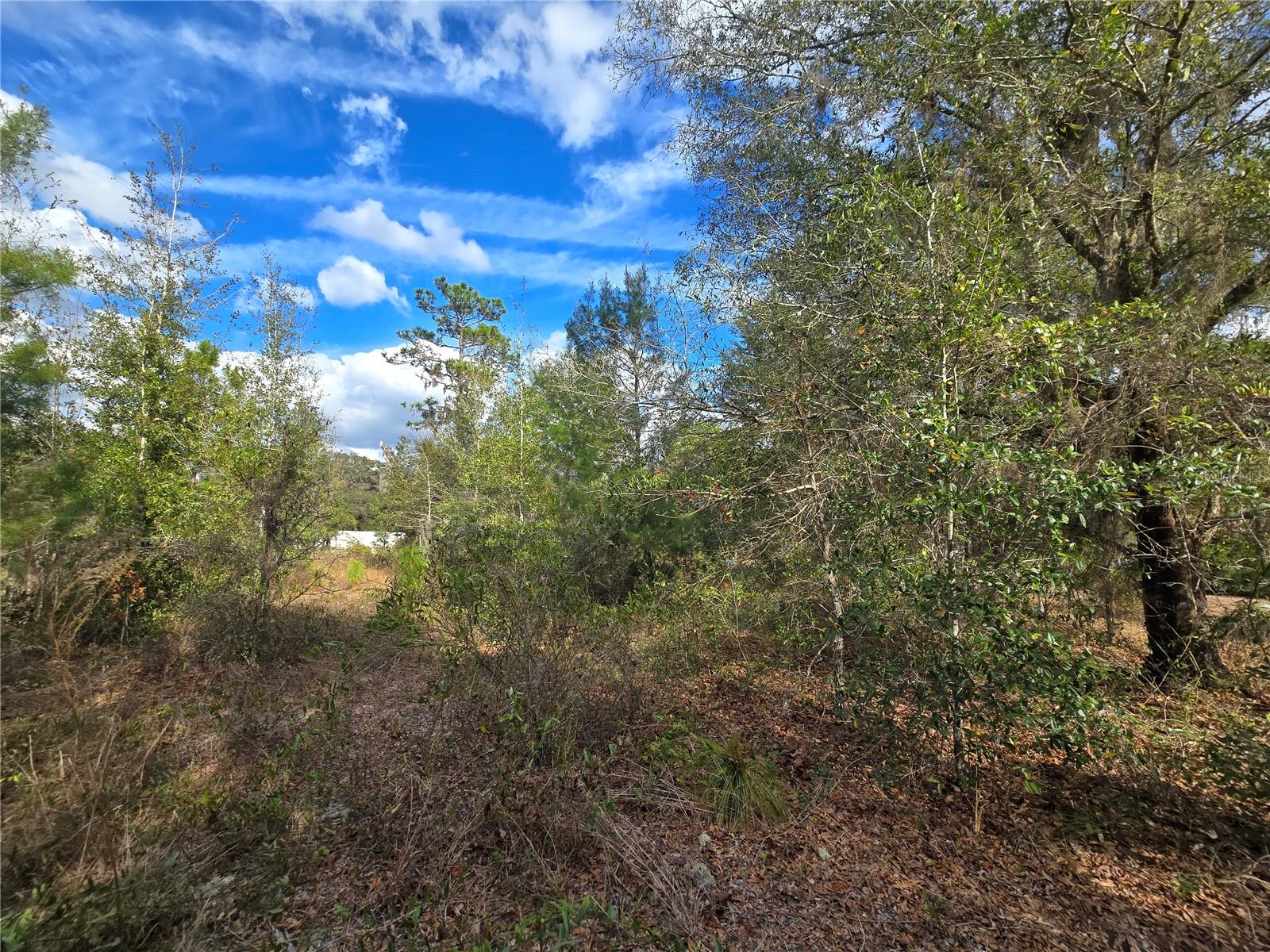 QUIET ACRES UNREC - Land