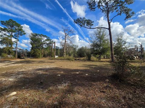 4610 N ELLEN POINT CRYSTAL RIVER FL 34428