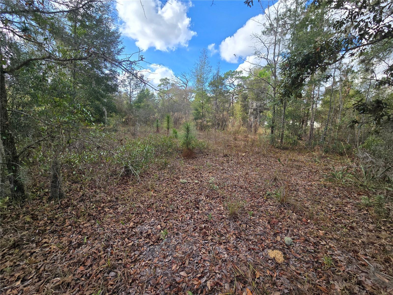 QUIET ACRES UNREC - Land