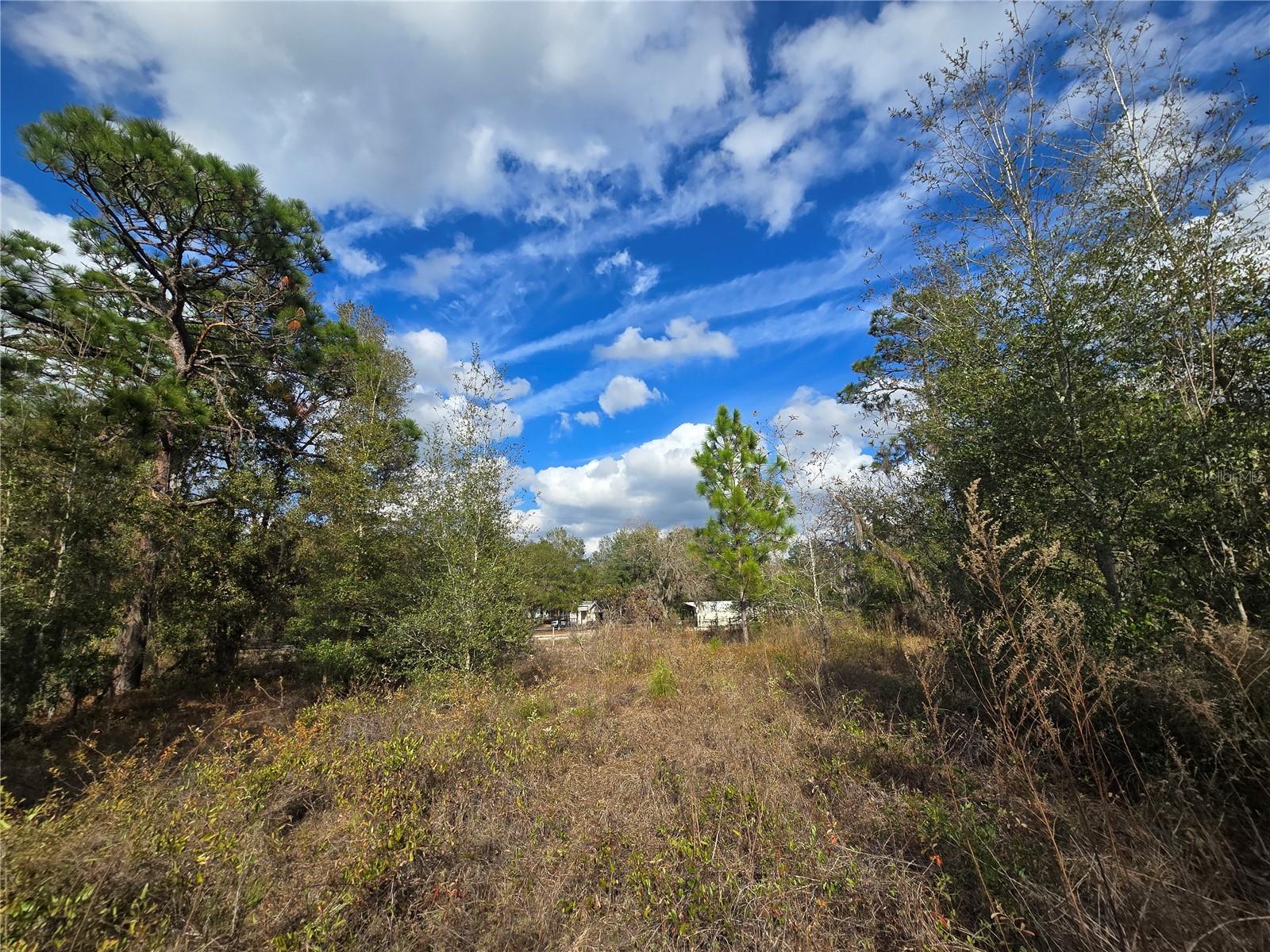 QUIET ACRES UNREC - Land