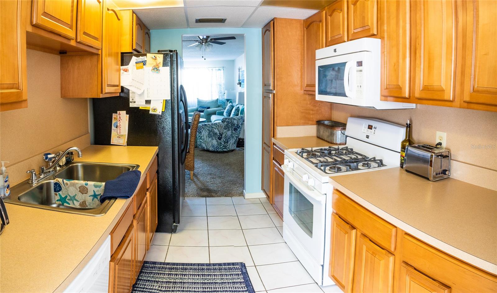 TOWN SHORES OF GULFPORT - Residential