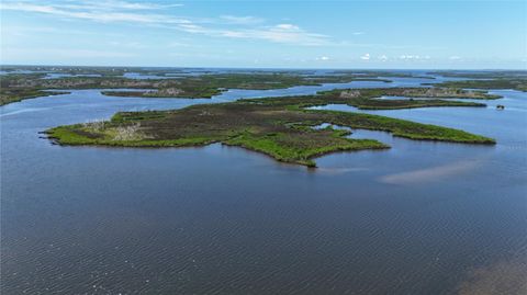 12301 THE SALT CRYSTAL RIVER FL 34429