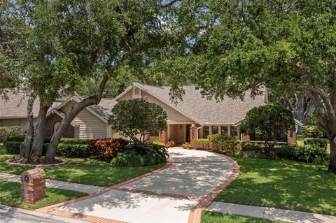 1951 DOWNING PLACE PALM HARBOR FL 34683