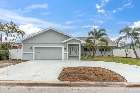 A home in ST PETE BEACH