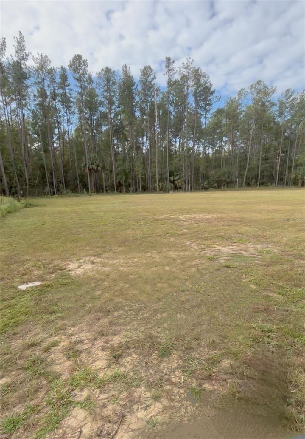 Photo of 000 NE 92nd Ave Rd, Fort Mccoy, FL 32134 (MLS # OM712511)