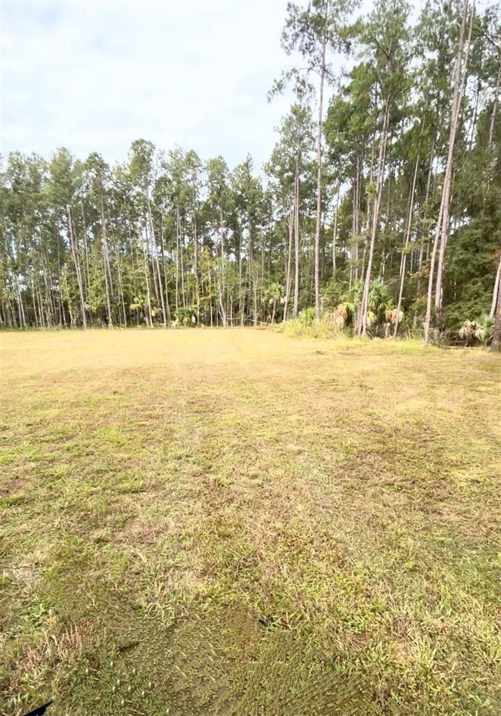 Photo of 000 NE 92nd Ave Rd, Fort Mccoy, FL 32134 (MLS # OM712511)