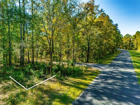 000 NE 92ND AVE RD FORT MC COY FL 32134