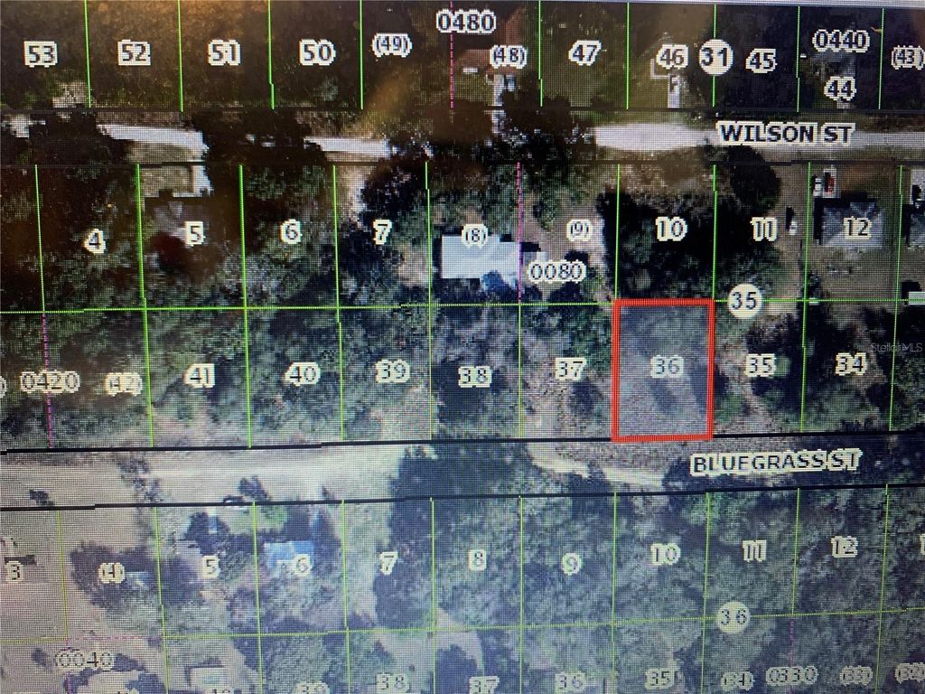 Photo of 2406 Bluegrass Street, Inverness, FL 34453 (MLS # OM721141)