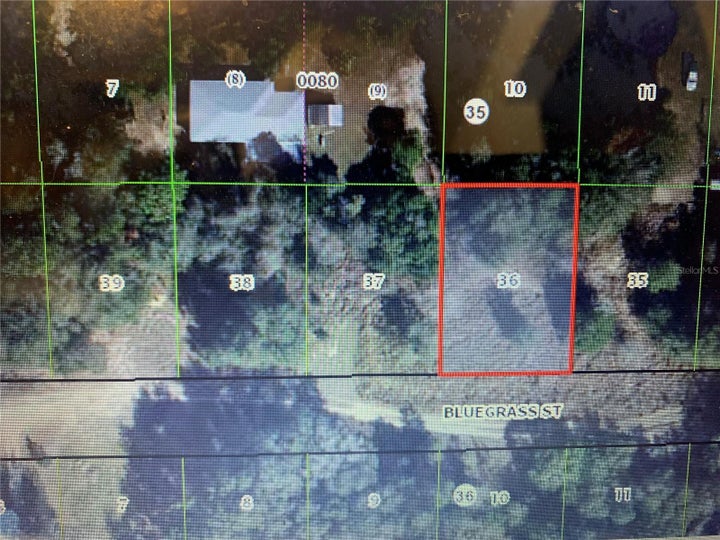 Photo 1 of 4 — 2406 BLUEGRASS STREET, INVERNESS, FL 34453