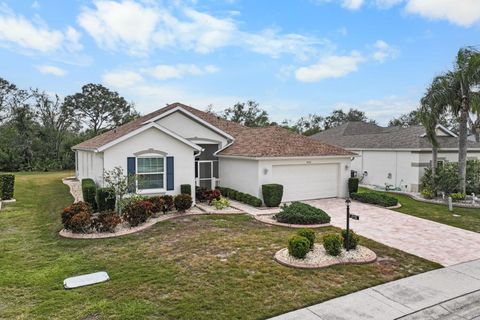 A home in SUN CITY CENTER