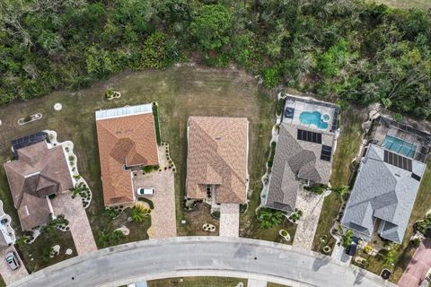 A home in SUN CITY CENTER