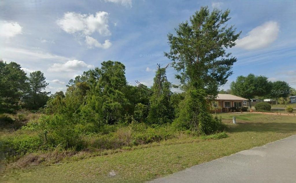 Photo of 1017 Breckinridge Avenue, Lake Placid, FL 33852 (MLS # O6328171)