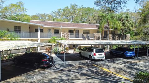 820 PATRICIA AVENUE 207 DUNEDIN FL 34698