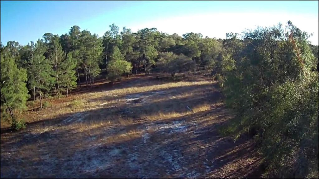 Photo of NE 40th Street, Williston, FL 32696 (MLS # O6376189)