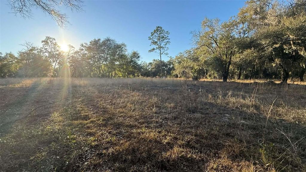 Photo of NE 40th Street, Williston, FL 32696 (MLS # O6376189)