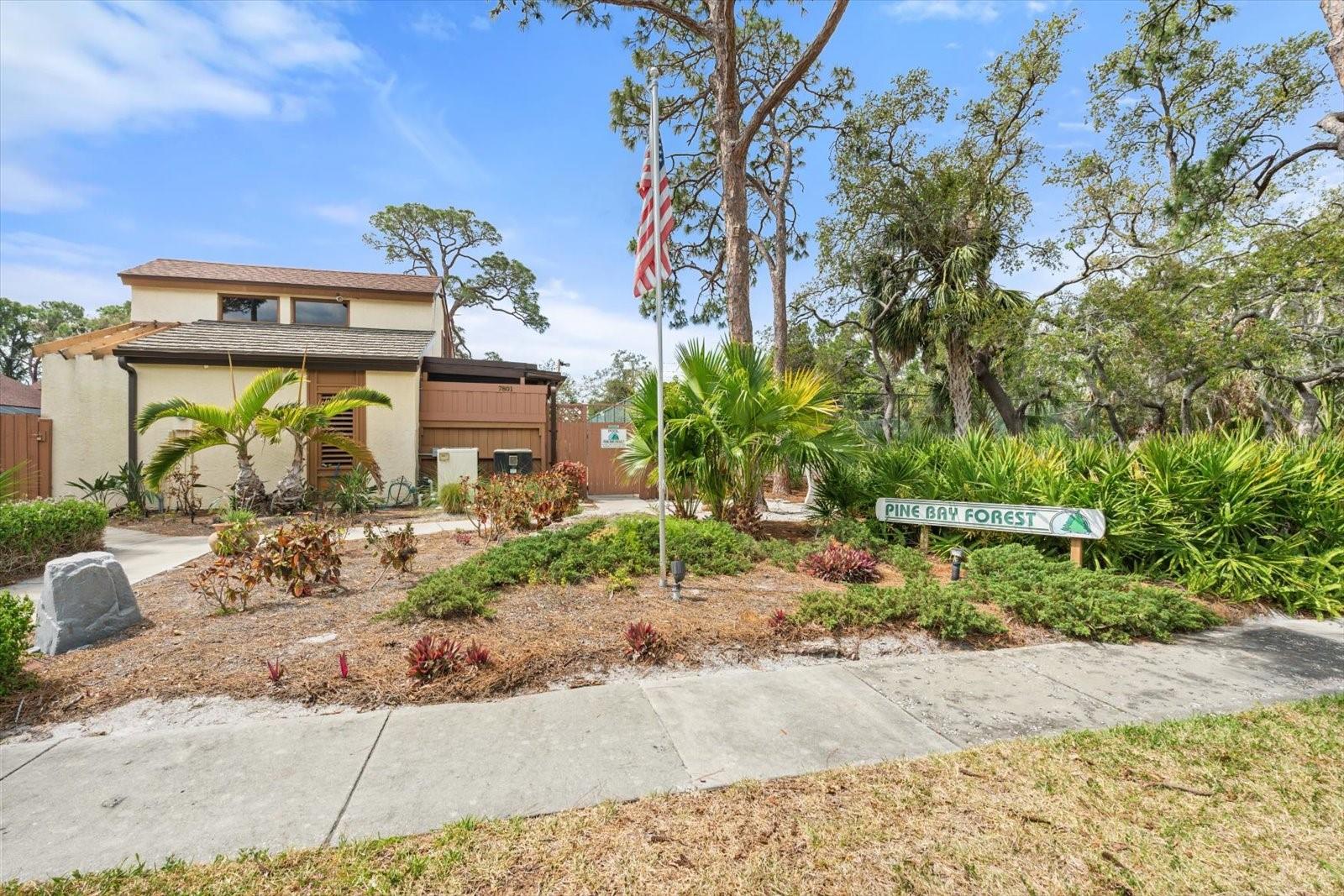 PINE BAY FOREST - Residential