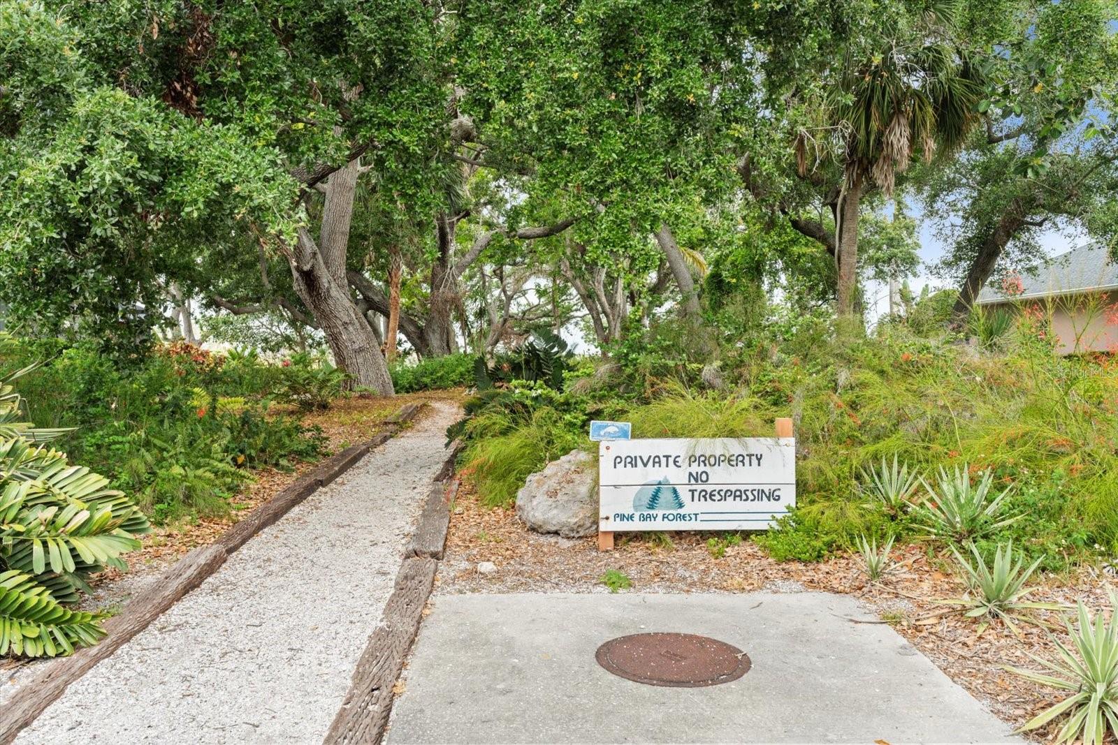 PINE BAY FOREST - Residential