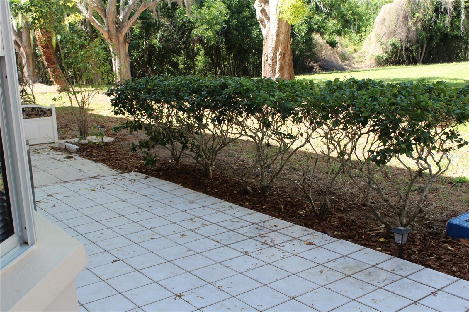 ON TOP OF THE WORLD - Residential