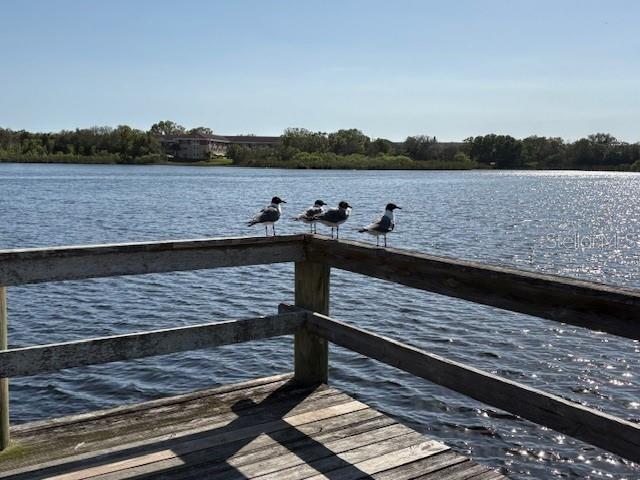 ON TOP OF THE WORLD - Residential