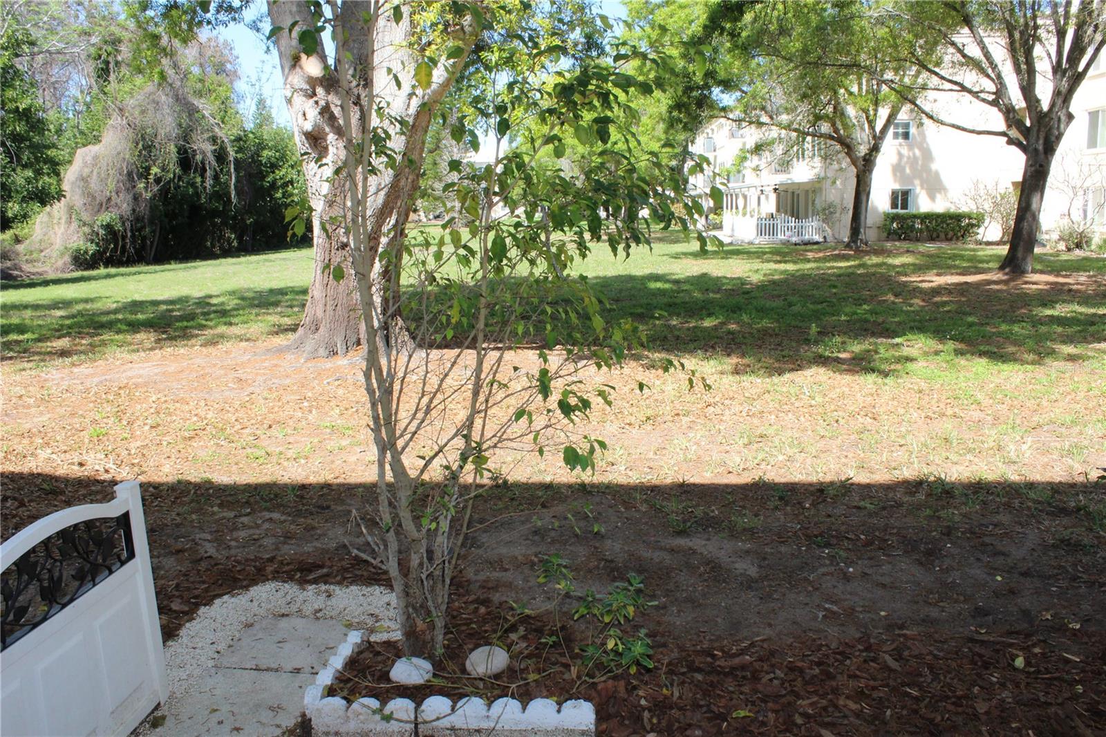 ON TOP OF THE WORLD - Residential