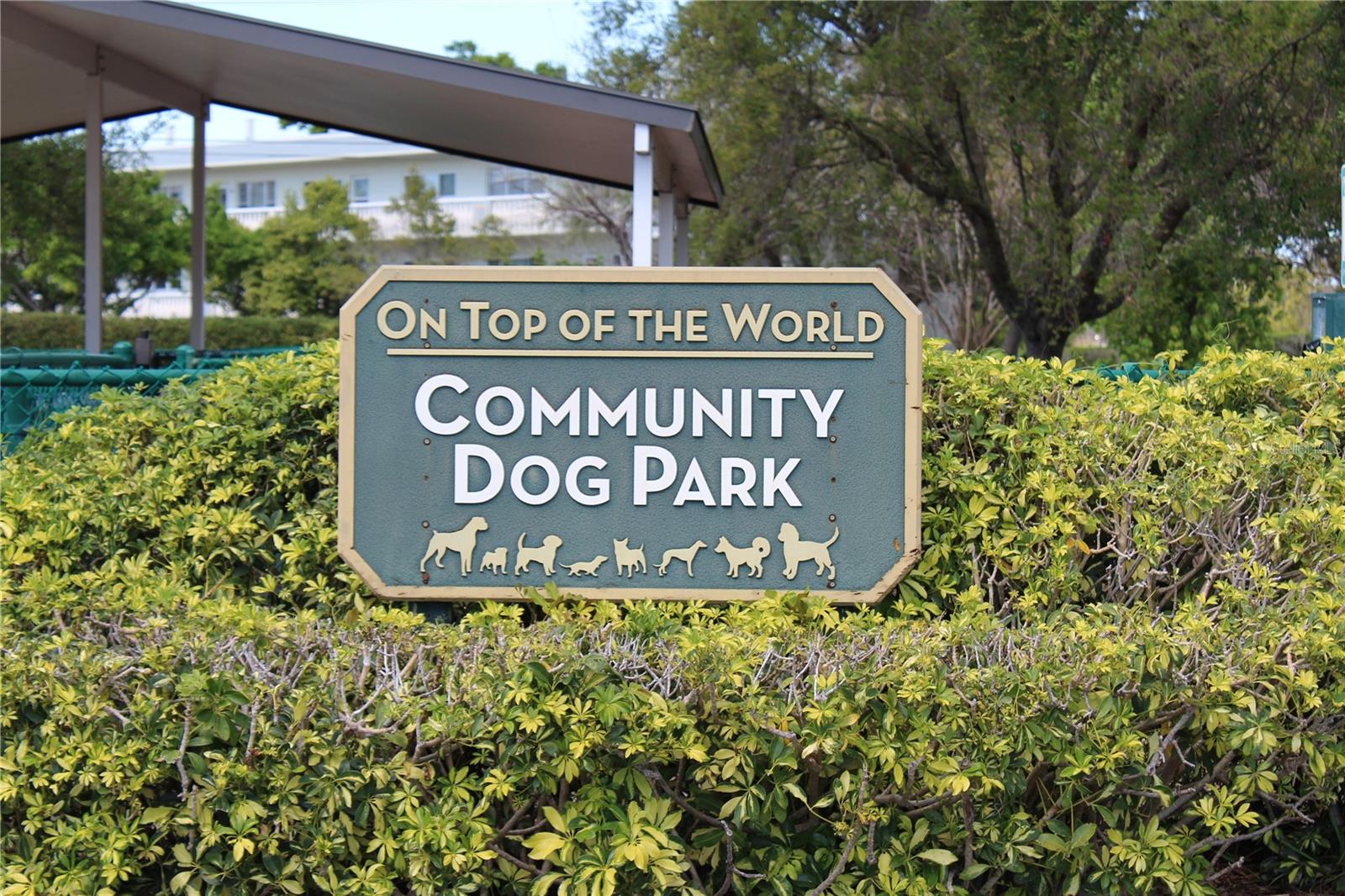 ON TOP OF THE WORLD - Residential