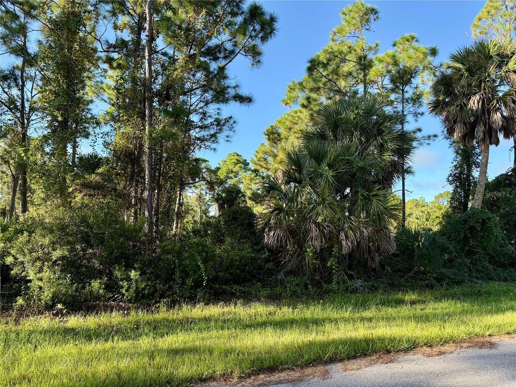 Photo of 26350 Eager Road, Punta Gorda, FL 33955 (MLS # C7516586)