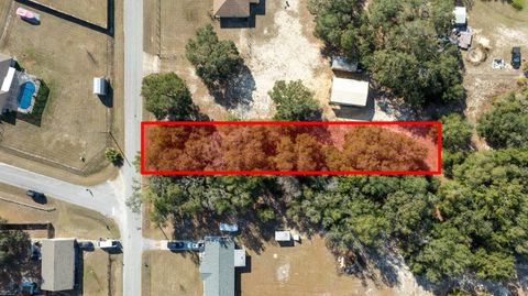 SE 106TH PLACE BELLEVIEW FL 34420
