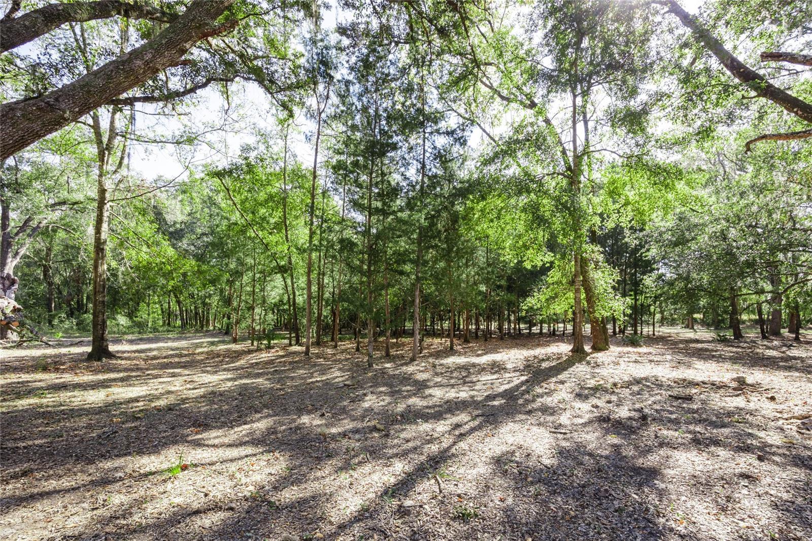 WACCASASSA CAMPSITES UNIT 2 - Residential