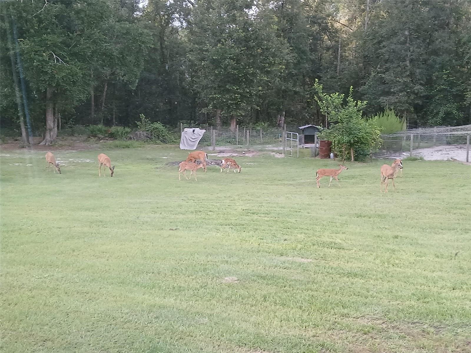 WACCASASSA CAMPSITES UNIT 2 - Residential