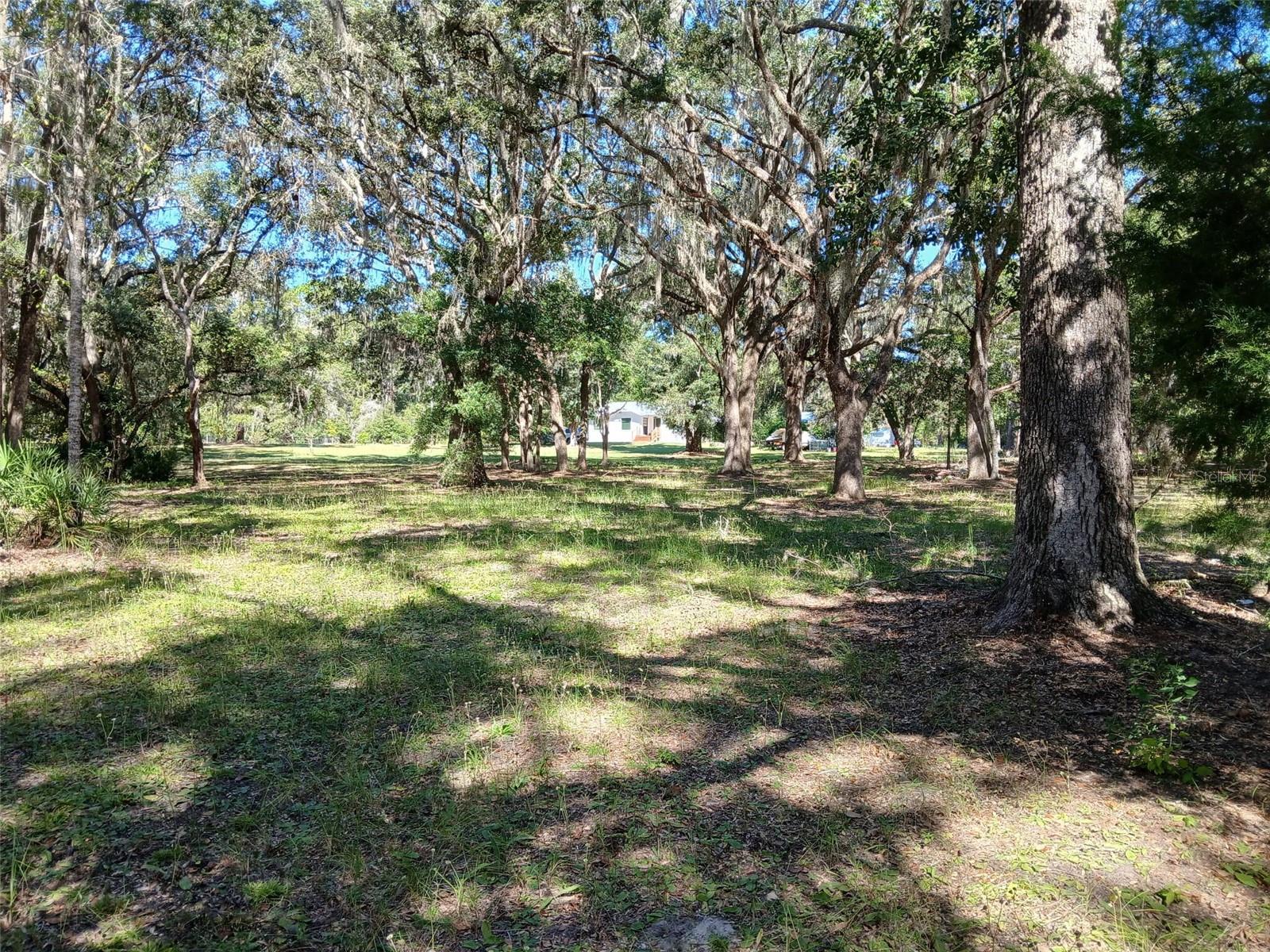 WACCASASSA CAMPSITES UNIT 2 - Residential