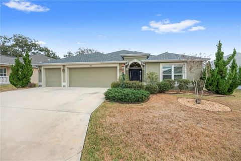 1510 KNUDSON RUN THE VILLAGES FL 32163