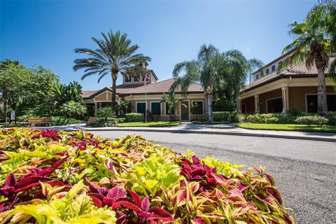 A home in APOLLO BEACH