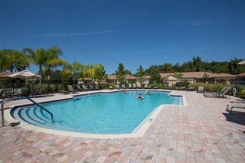 A home in APOLLO BEACH