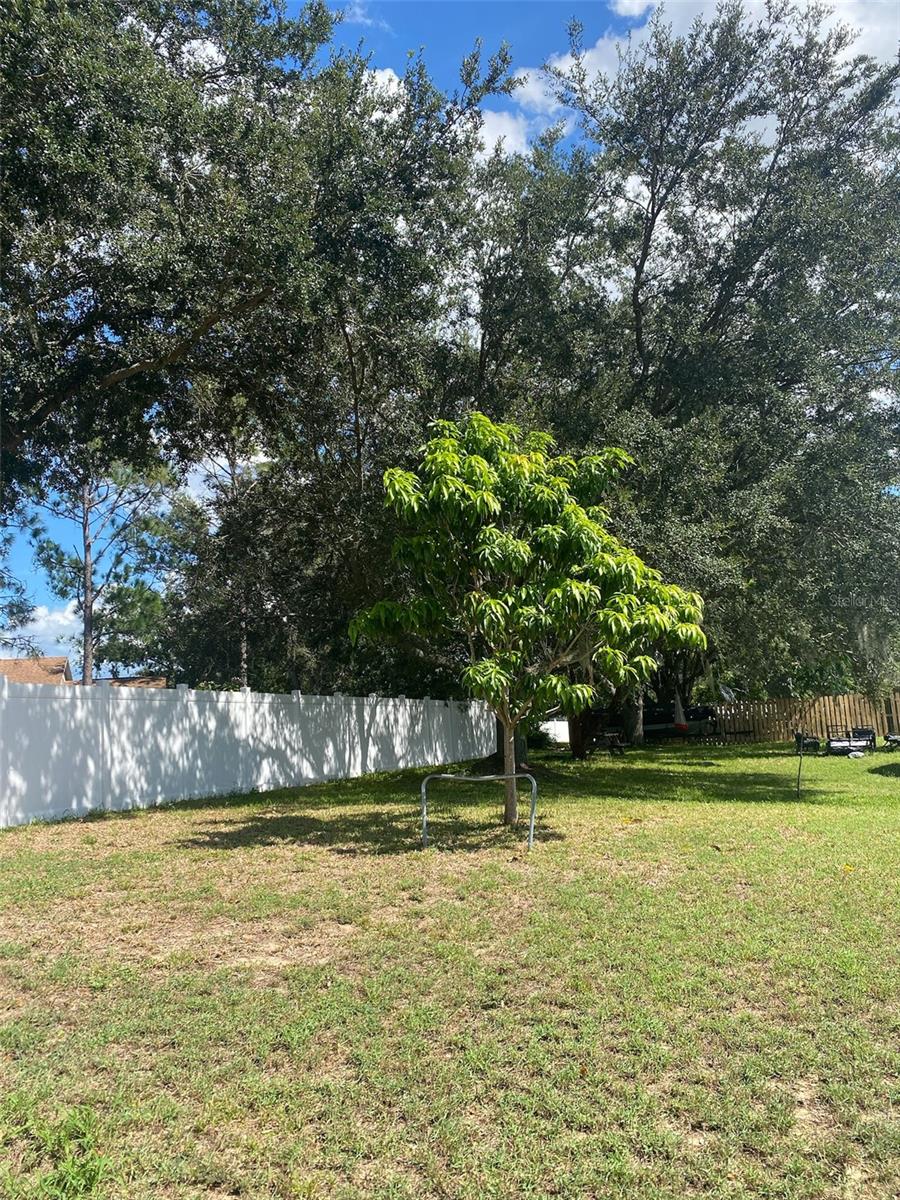 LOUISA POINTE PH 01 - Residential Lease