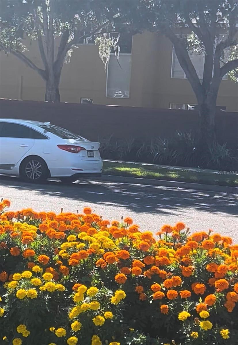 WESTCHASE SEC 211 - Residential