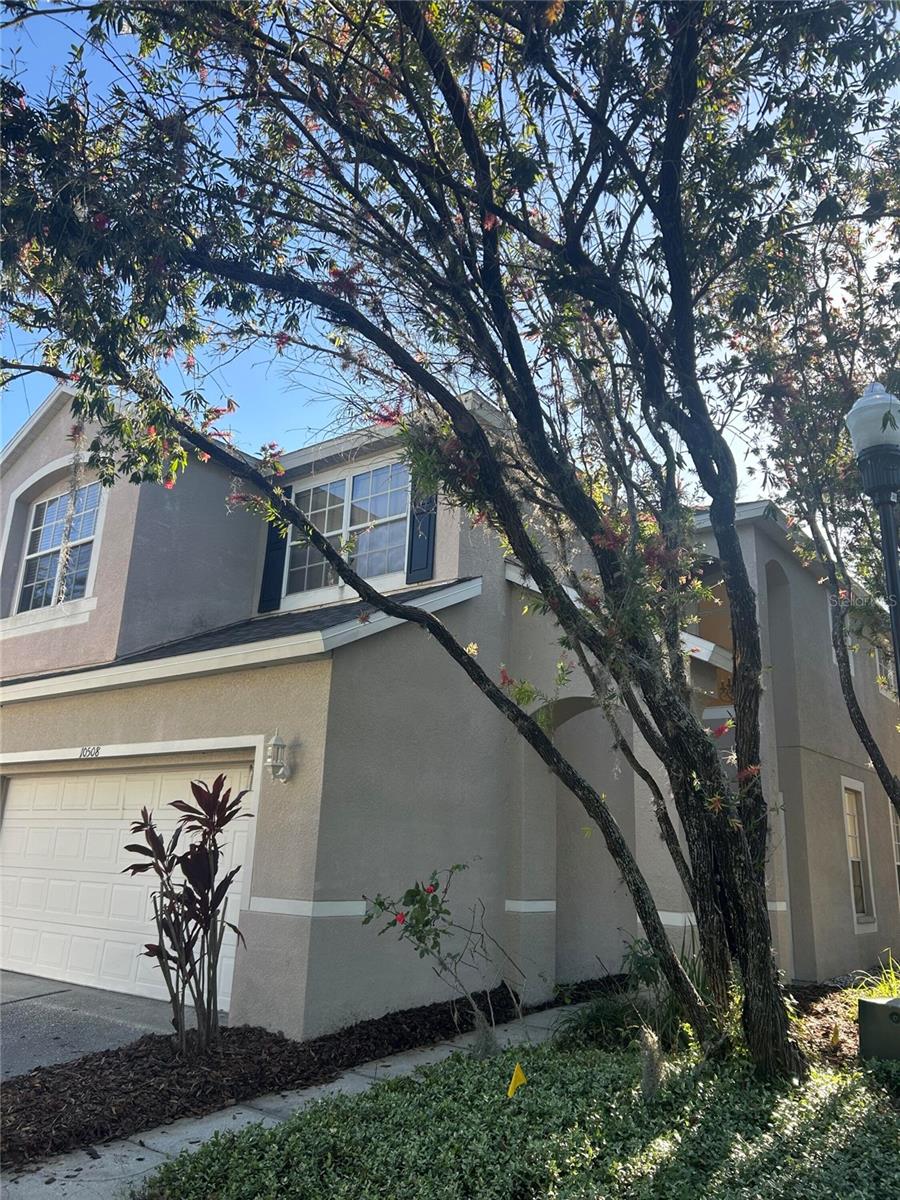 WESTCHASE SEC 211 - Residential