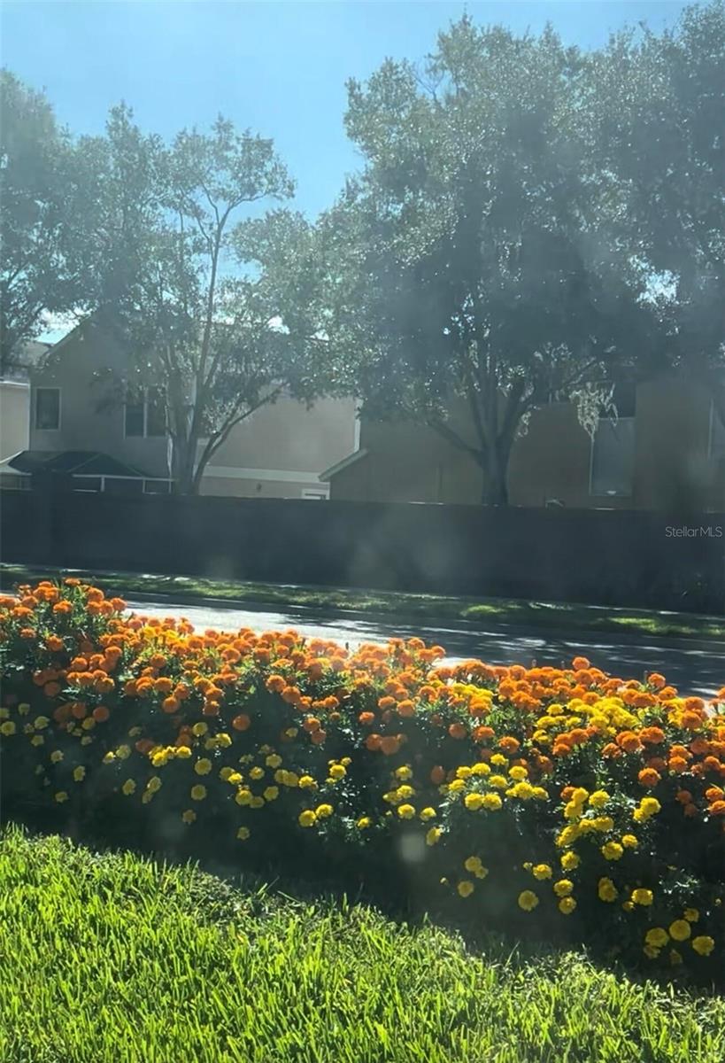 WESTCHASE SEC 211 - Residential