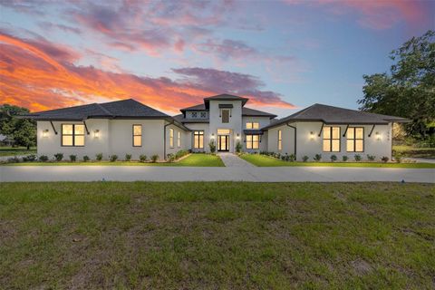 Photo of 950 SE 80th Street, Ocala, FL 34480 (MLS # OM726576)