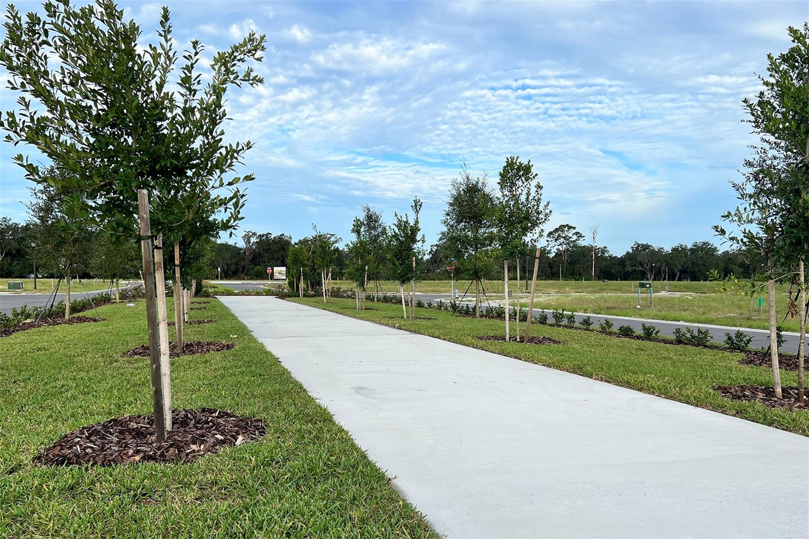 TYSON RANCH TOWNHOMES - Residential