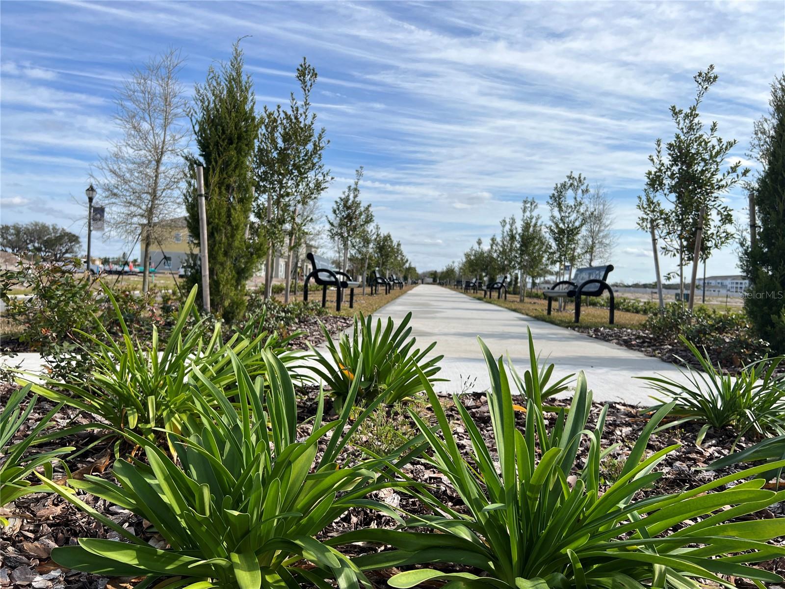 TYSON RANCH TOWNHOMES - Residential