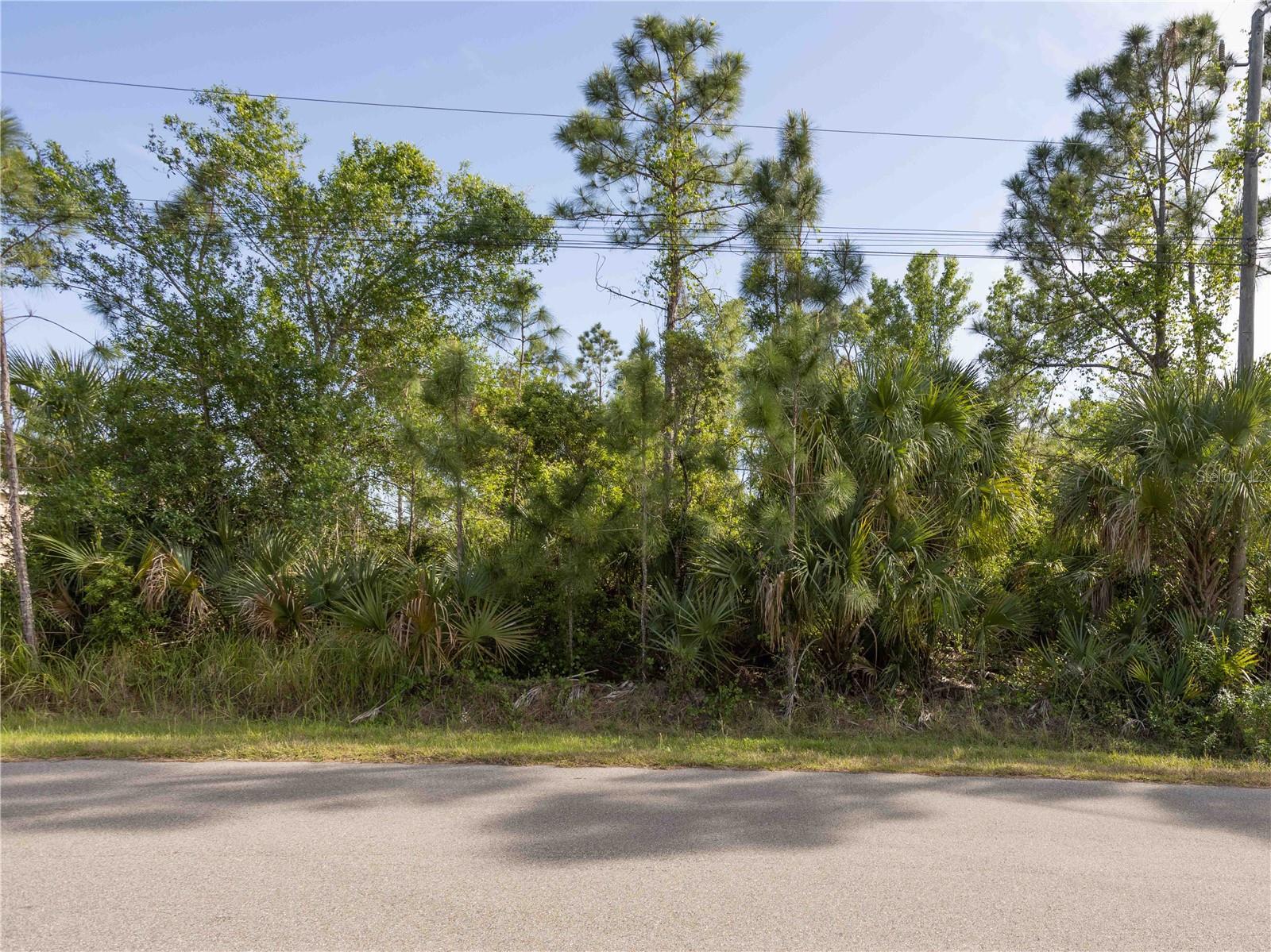 Welcome to your new space. Just the perfect piece of land for you to build your future on. With just over 1/4 acre, you will have plenty of room to create your sanctuary, any way that you want it! North Port is becoming one of the fastest growing cities, not only the state, but the nation is well. With North Port's affordability factor and strong sense of community, you will feel right at home! This spot is tucked away, but with only a 5-minute drive, to shopping centers and restaurants. You will also be less than 15 miles to the beach, putting all of life's amenities right at your fingertips. Owning your own piece of paradise is within your grasp.