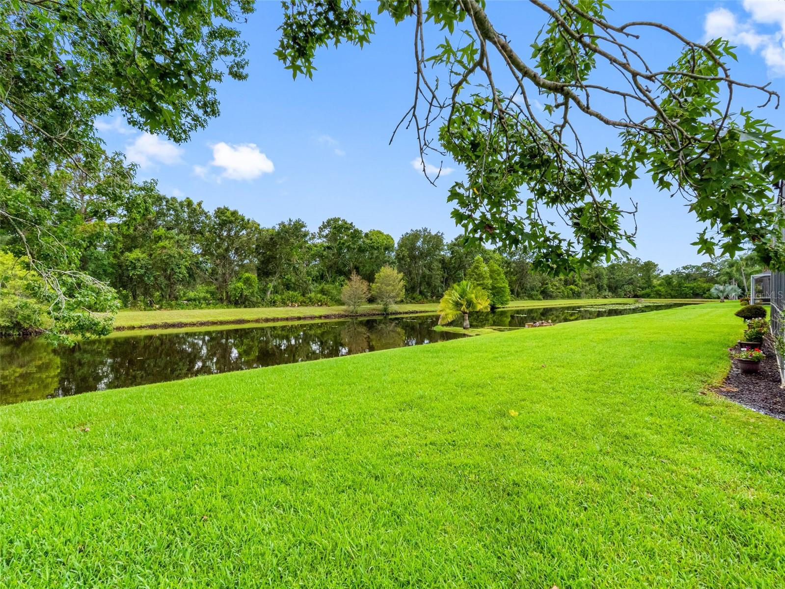 WESTCHASE SEC 110 - Residential