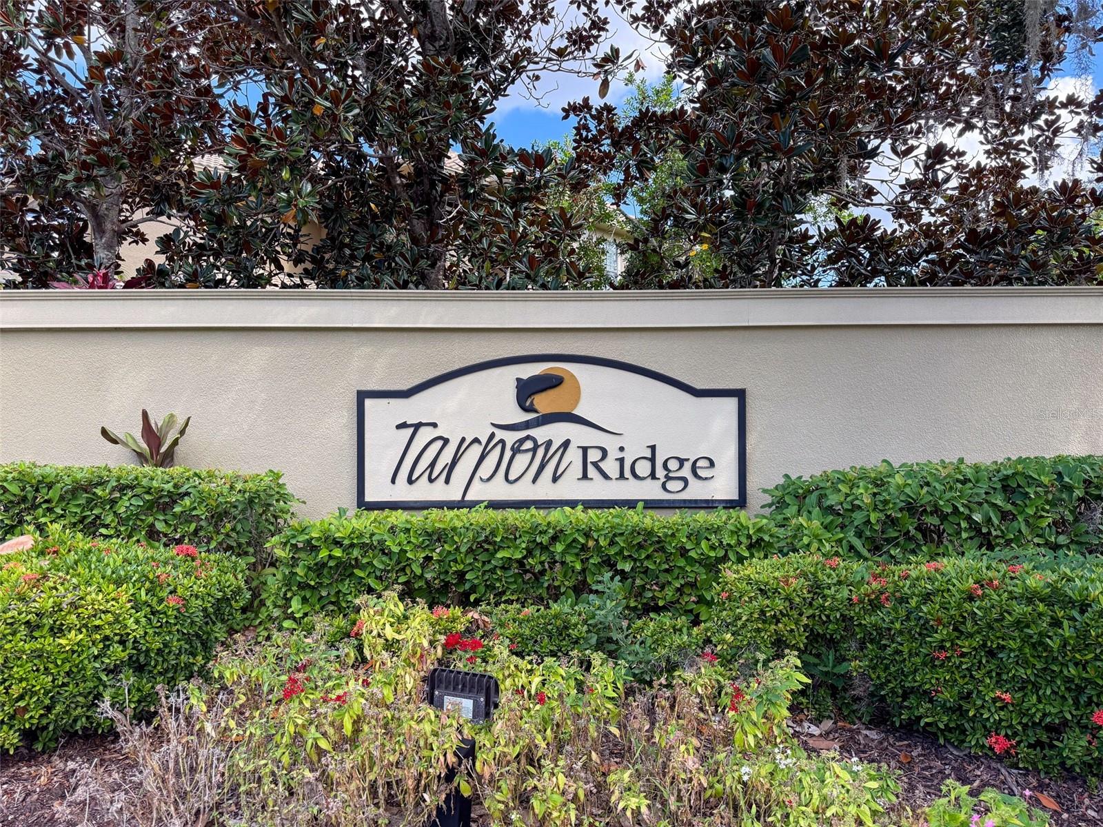 TARPON RIDGE TWNHMS - Residential