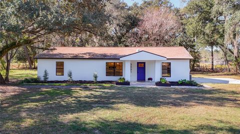 Photo of 3551 Oakwood Drive, Wesley Chapel, FL 33543 (MLS # TB8456330)