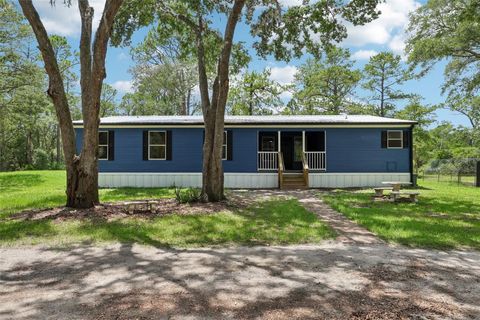 1235 ARAPAHO TRAIL GENEVA FL 32732