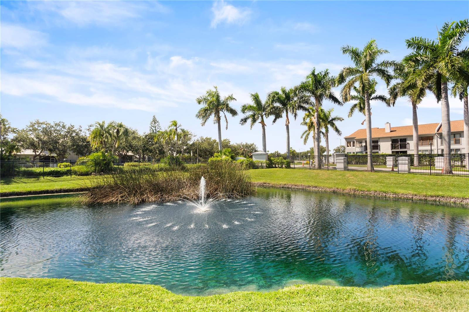 CLUB AT FEATHER SOUND THE CONDO - Residential