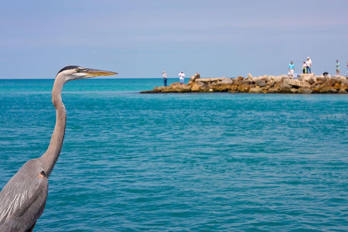 TOSCANA ISLES PH 5 UN 2 - Residential